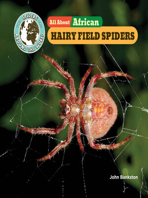 cover image of All About African Hairy Field Spiders